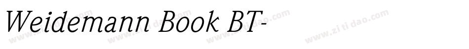 Weidemann Book BT字体转换